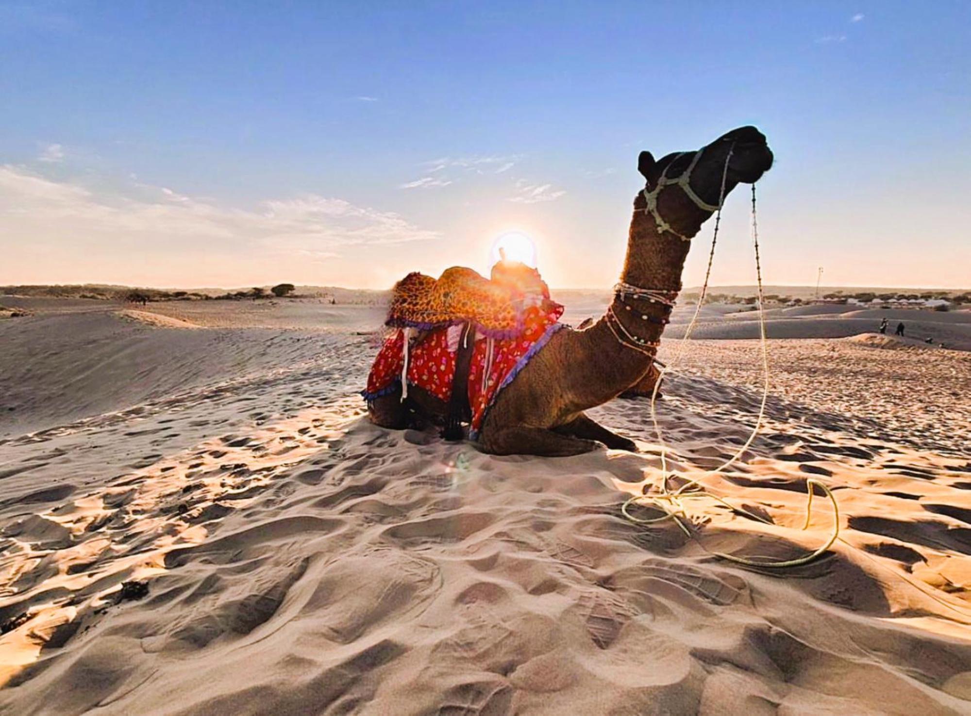 Jaisalmer Sand Dunes Luxury Camp And Resort מראה חיצוני תמונה