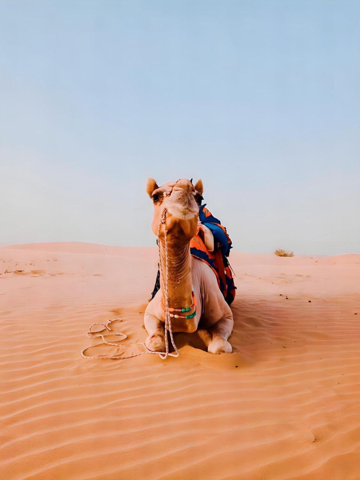 Jaisalmer Sand Dunes Luxury Camp And Resort מראה חיצוני תמונה
